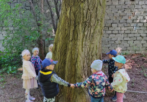 Dzieci oblatają drzewo