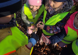 Wycieczka do Lasu Łagiewnickiego 10