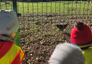 Wycieczka do Lasu Łagiewnickiego 11