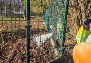 Wycieczka do Lasu Łagiewnickiego 12