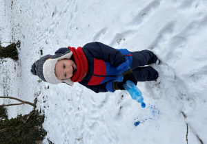 Malowanie na śniegu