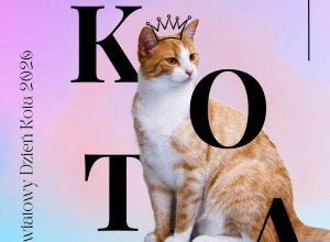 Wyniki Ogólnołódzkiego konkursu „A każdy widział kota”