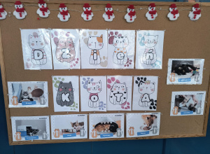 Światowy Dzień Kota