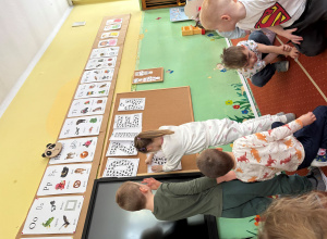 Światowy Dzień Kota