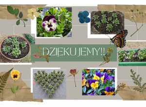 Akcja "Kwiaty za elektrograty"