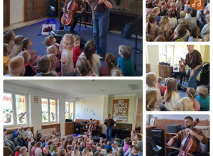 Lawendowy koncert - wiolonczela