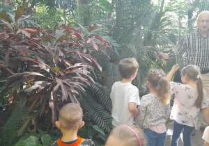 Dzieci spacerują pośród egzotycznych roślin