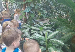 Dzieci dotykają struktury liści rośliny