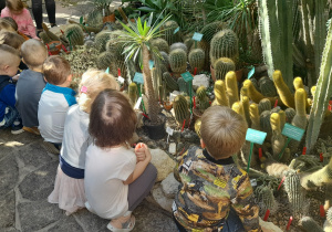 Dzieci kucają wśród kaktusów