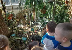 Dzieci oglądają różne gatunki kaktusów