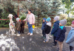 Dzieci słuchają informacji o życiu alpak