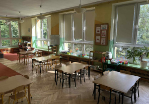 Sala grupy żabki - widok od strony wejścia