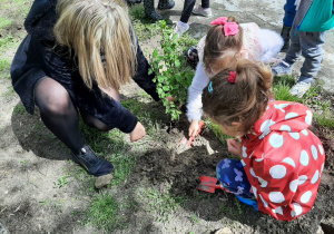 dziewczynki z pomocy nauczyciela sadzą roślinę