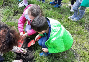 dzieci pomagają przy sadzeniu rośliny